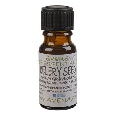 Celery Seed Essential Oil (Apium graveolens)